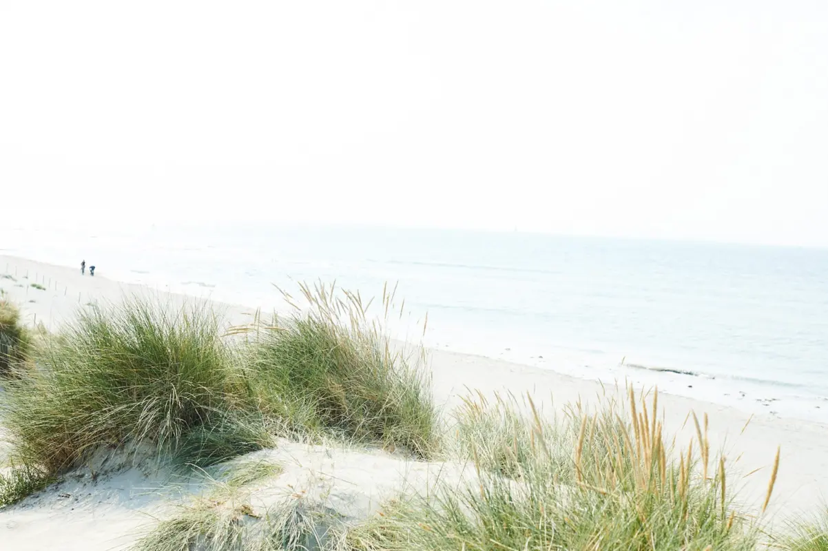 SSD Shooting Beach