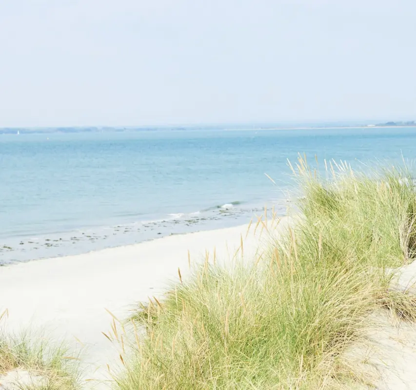 SSD Shooting Beach